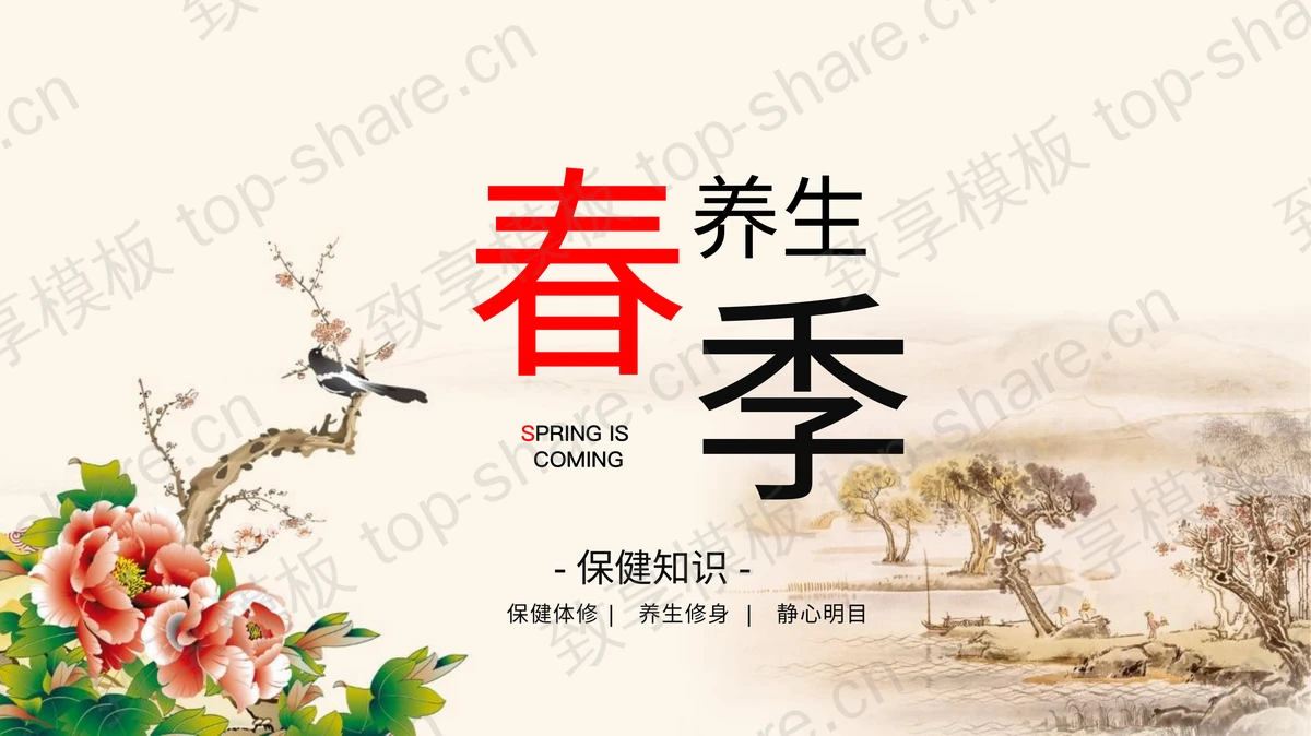 古典工笔花鸟背景春季养生保健知识宣讲PPT模板-致享TOP-SHARE