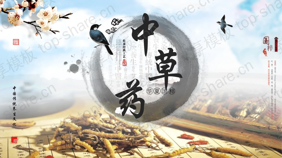 古典中国风华夏国粹中草药宣传介绍PPT模板-致享TOP-SHARE