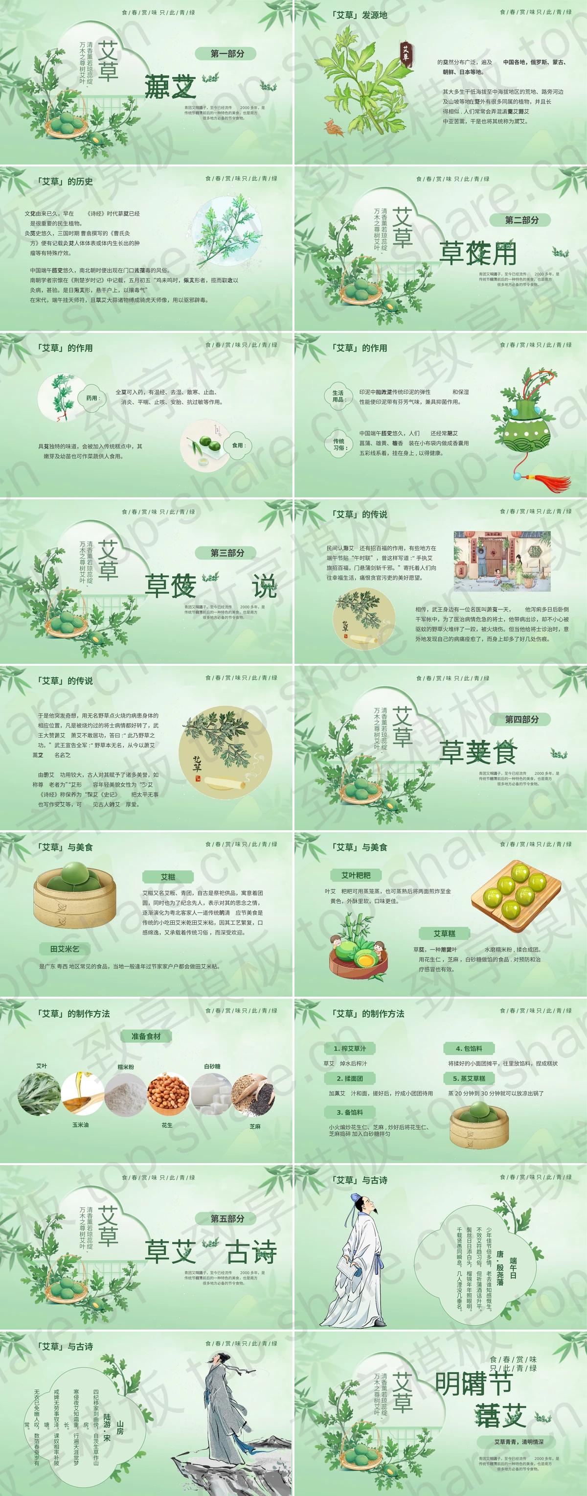 图片[2]-绿色插画风清明时节话艾草PPT模板 - 致享TOP-SHARE-致享TOP-SHARE