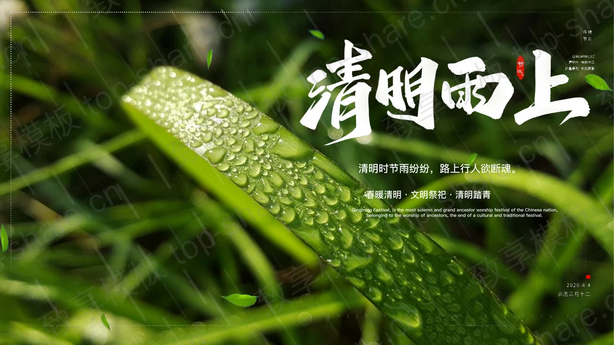清新绿叶背景“清明雨上”清明节节日介绍PPT模板-致享TOP-SHARE