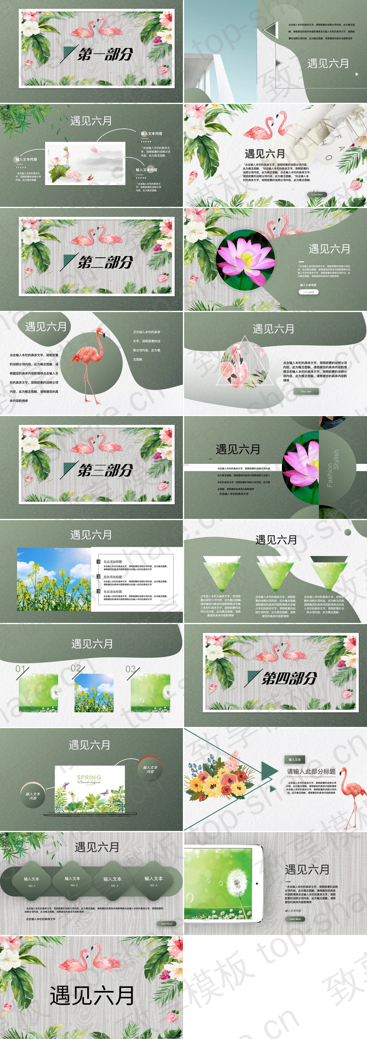 图片[2]-水彩花卉火烈鸟背景的遇见六月PPT模板下载 - 致享TOP-SHARE-致享TOP-SHARE