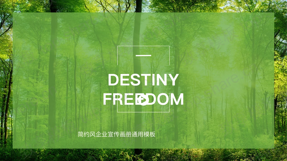 绿色清新森林图片排版背景自然风景PPT模板-致享TOP-SHARE