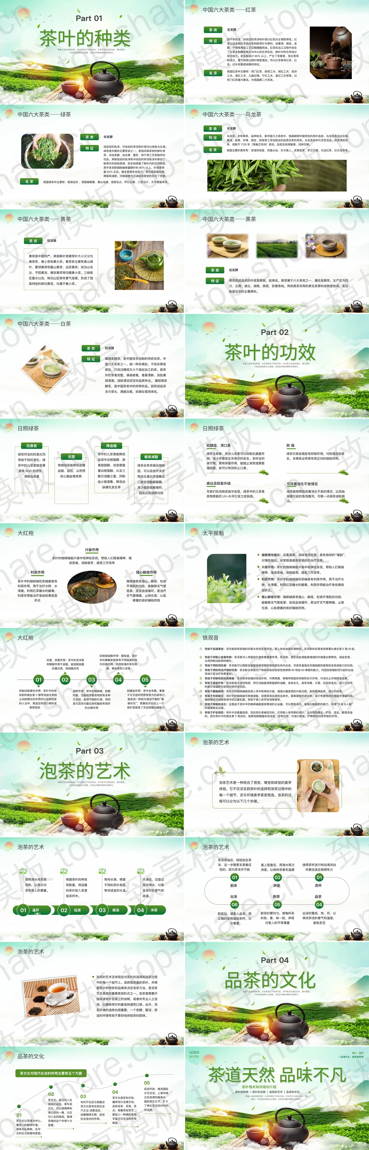 图片[2]-绿色茶田紫砂壶背景的“茶道天然品味不凡”茶叶相关知识培训介绍PPT模板 - 致享TOP-SHARE-致享TOP-SHARE