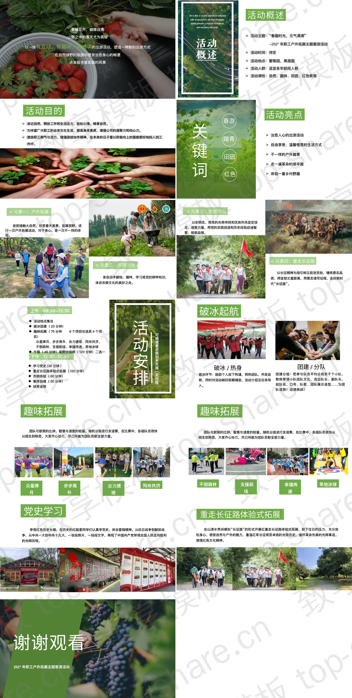 图片[2]-绿色新鲜葡萄背景“春趣时光元气满满”职工户外拓展主题春游活动PPT模板 - 致享TOP-SHARE-致享TOP-SHARE