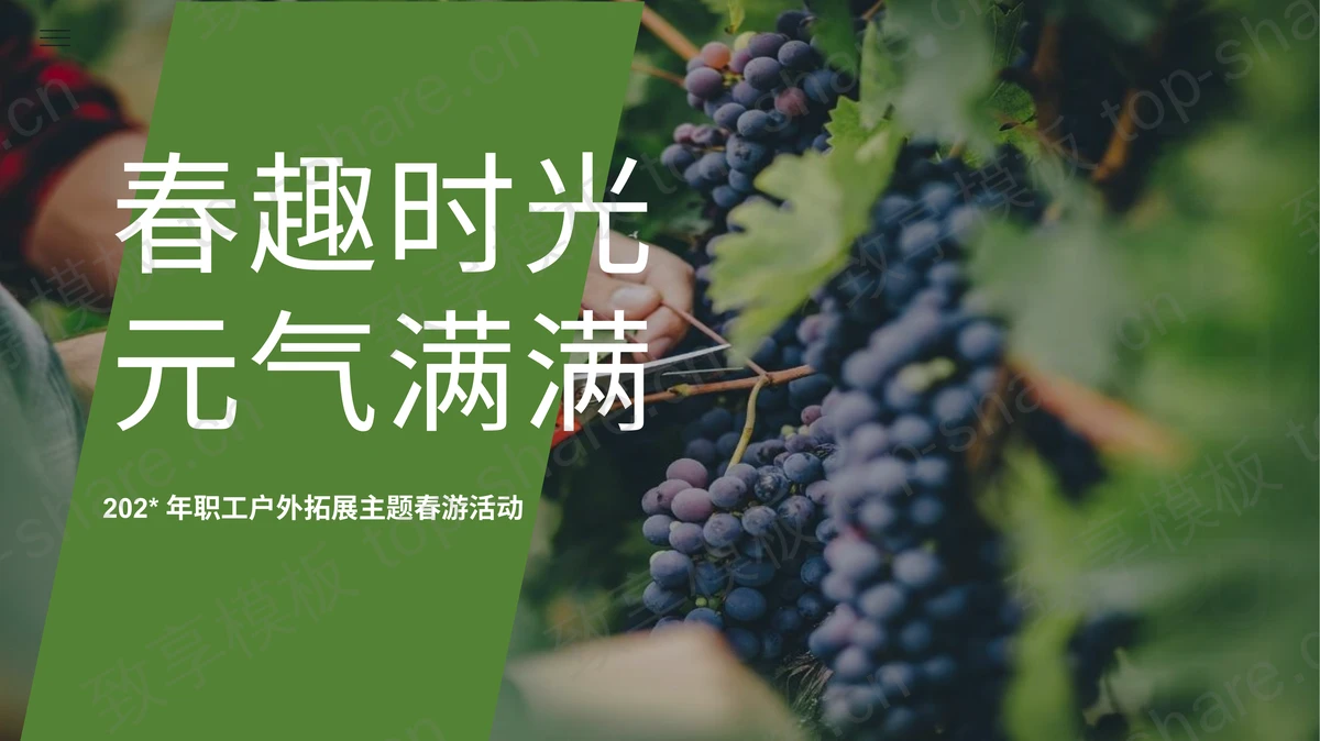 绿色新鲜葡萄背景“春趣时光元气满满”职工户外拓展主题春游活动PPT模板-致享TOP-SHARE