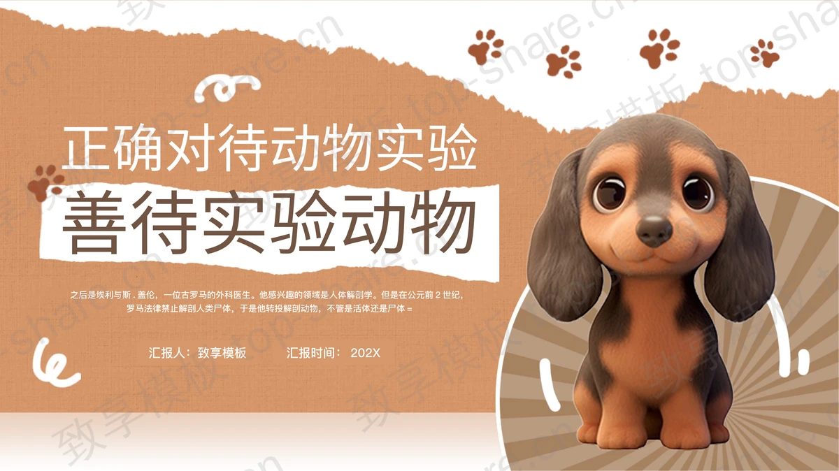 棕色立体卡通小狗背景的善待实验动物PPT模板下载-致享TOP-SHARE