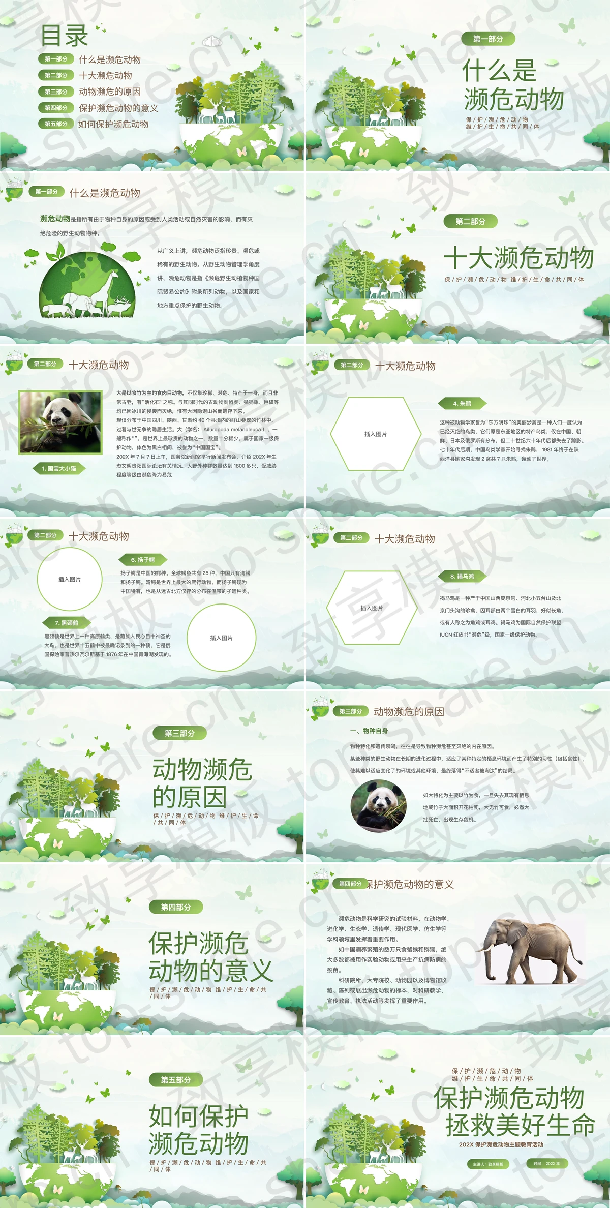 图片[2]-绿色矢量卡通风格的保护濒危动物主题教育活动PPT模板下载 - 致享TOP-SHARE-致享TOP-SHARE