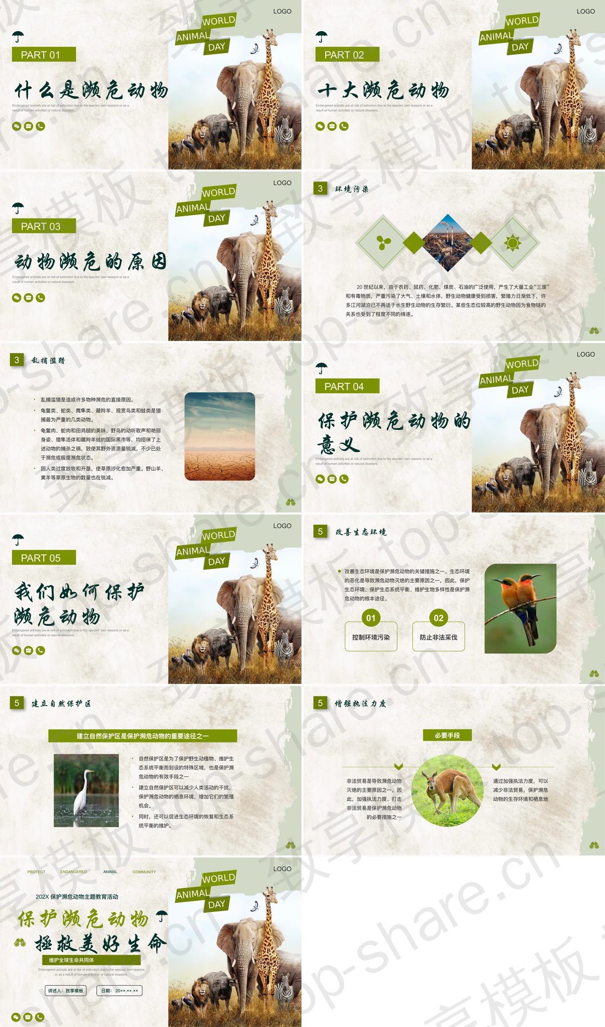 图片[2]-绿色野生动物背景的保护濒危动物主题教育活动PPT模板下载 - 致享TOP-SHARE-致享TOP-SHARE