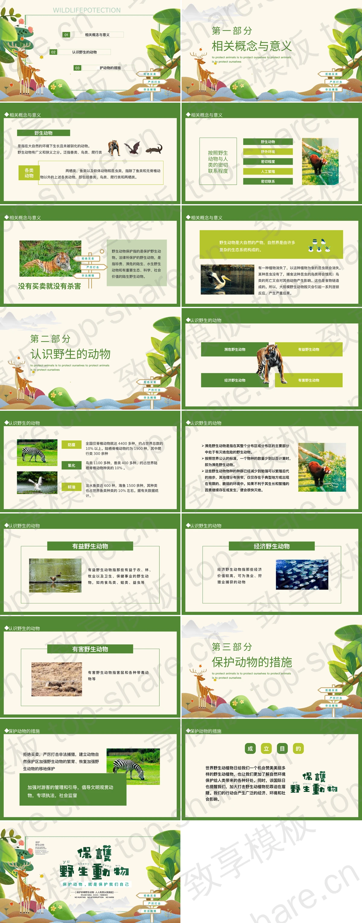 图片[2]-绿色卡通风格的保护野生动物PPT模板下载 - 致享TOP-SHARE-致享TOP-SHARE