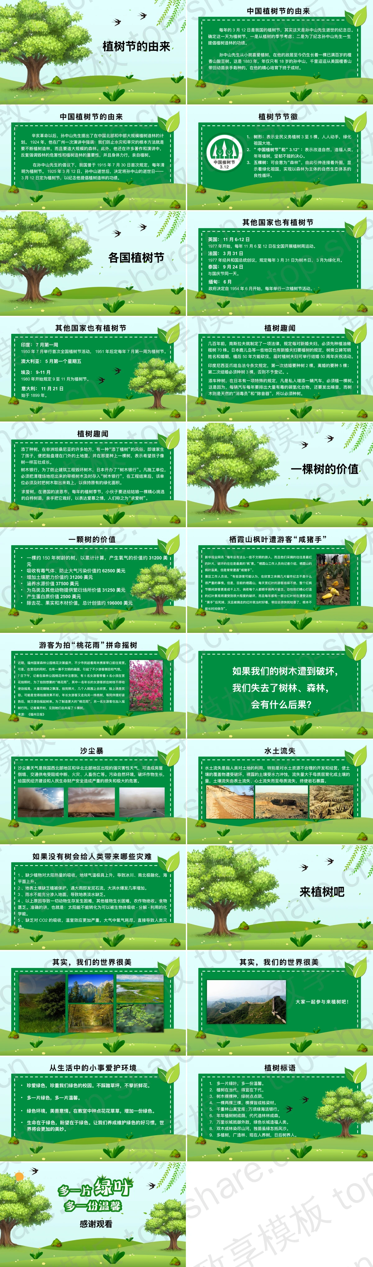 图片[2]-绿色大树背景“多一片绿叶多一份温馨”植树节主题班会PPT模板 - 致享TOP-SHARE-致享TOP-SHARE