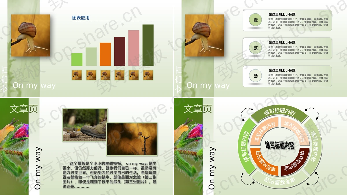 图片[2]-清新淡雅的蜗牛PowerPoint模板下载 - 致享TOP-SHARE-致享TOP-SHARE