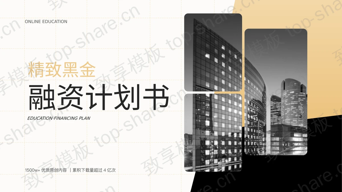 大气黑金商业融资计划书PPT模板-致享TOP-SHARE