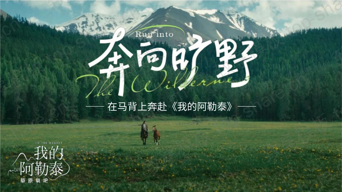 森林草原背景“奔向旷野”阿勒泰旅游攻略PPT模板-致享TOP-SHARE