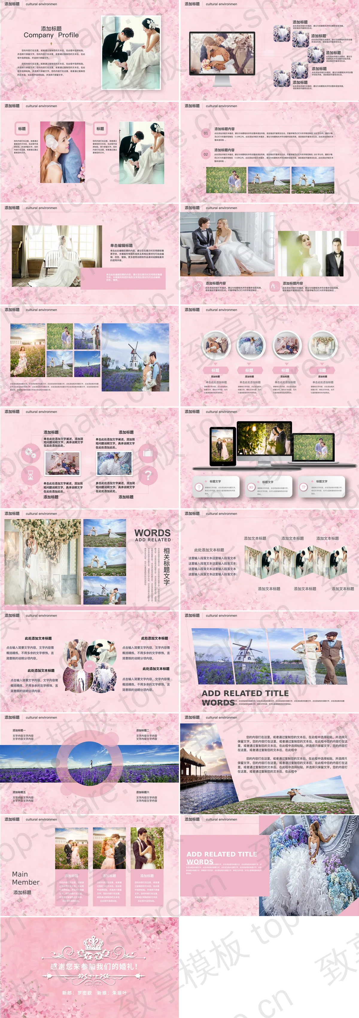 图片[2]-粉色浪漫樱花背景的婚礼相册PPT模板 - 致享TOP-SHARE-致享TOP-SHARE