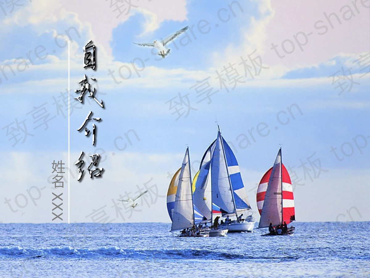海鸥帆船背景的自我介绍PPT模板下载-致享TOP-SHARE