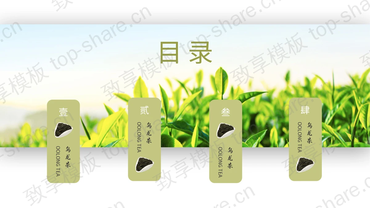 绿色茶园茶农背景的健康茶原产地介绍PPT模板-致享TOP-SHARE