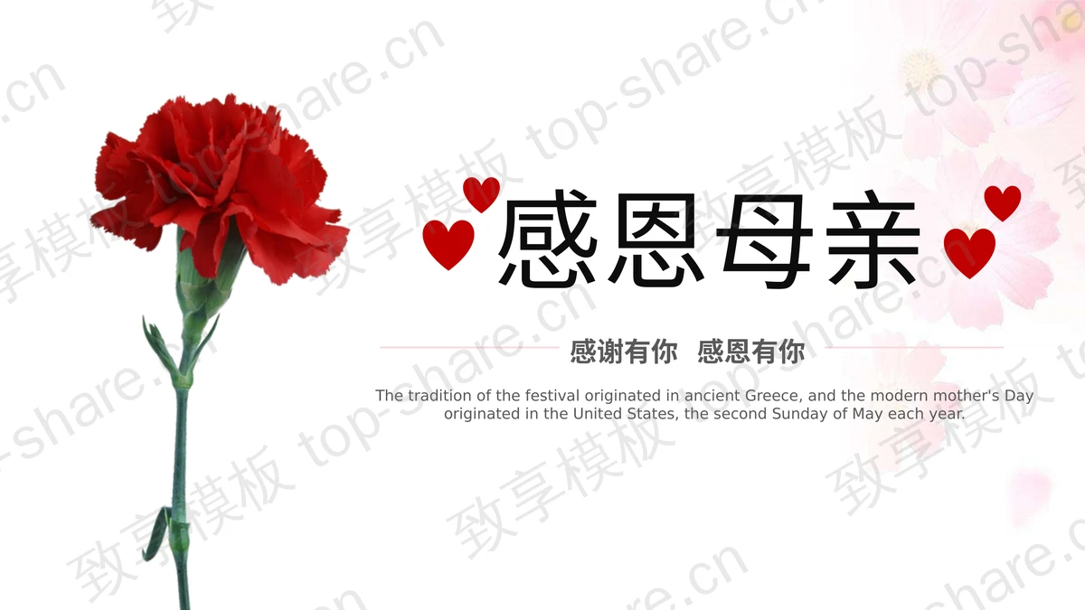一束康乃馨背景的感恩母亲PPT模板下载-致享TOP-SHARE