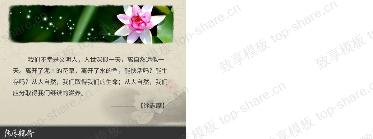 图片[2]-古典莲花背景中国风PPT模板下载 - 致享TOP-SHARE-致享TOP-SHARE