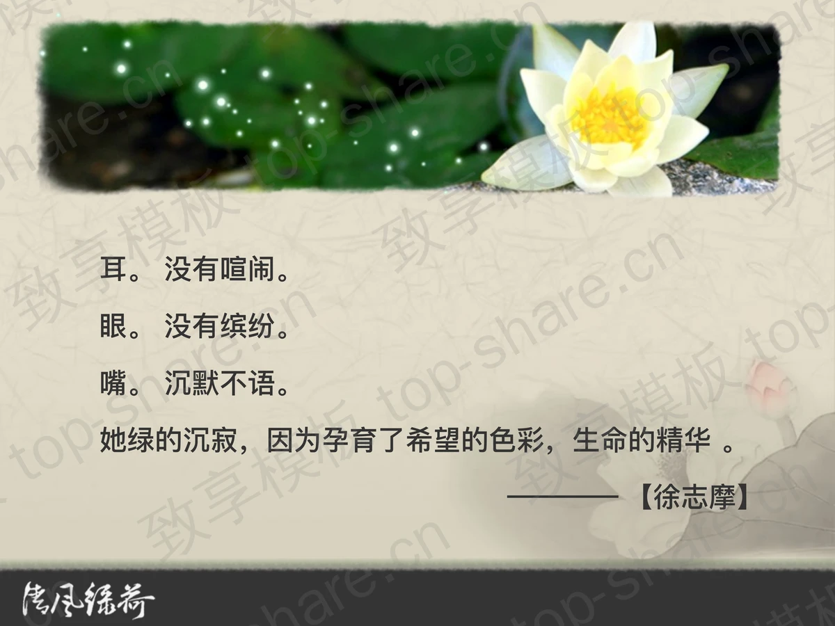 古典莲花背景中国风PPT模板下载-致享TOP-SHARE
