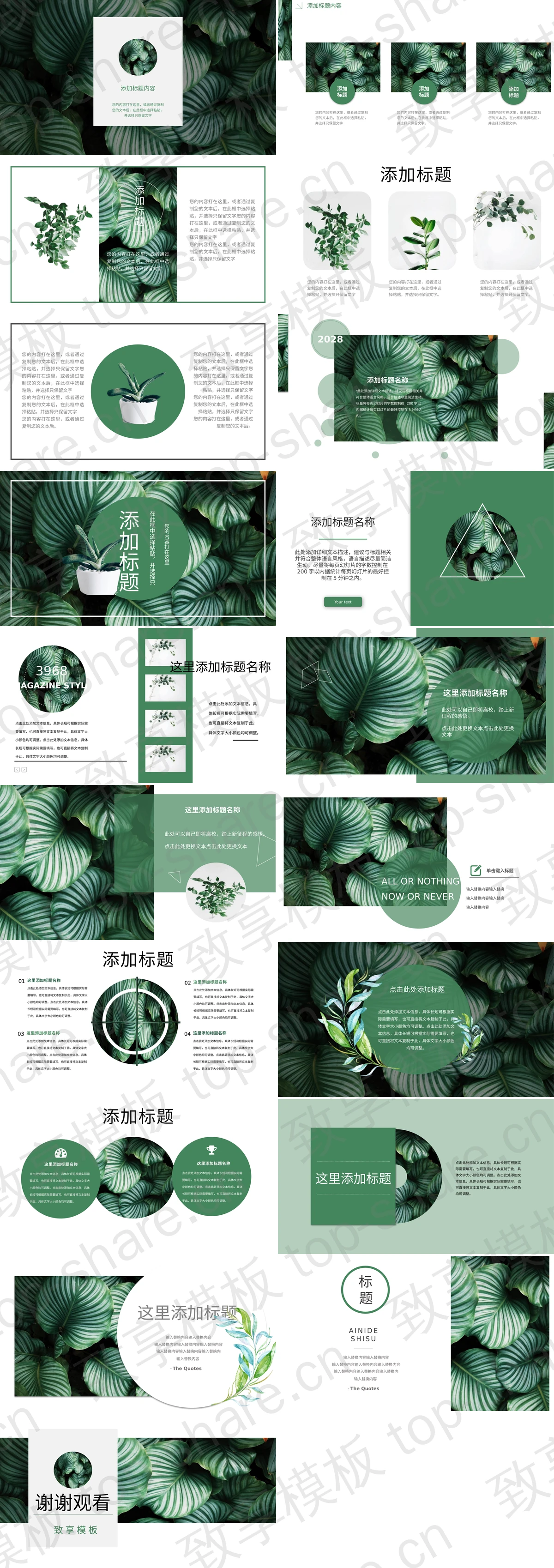 图片[2]-清新绿叶背景PPT模板免费下载 - 致享TOP-SHARE-致享TOP-SHARE