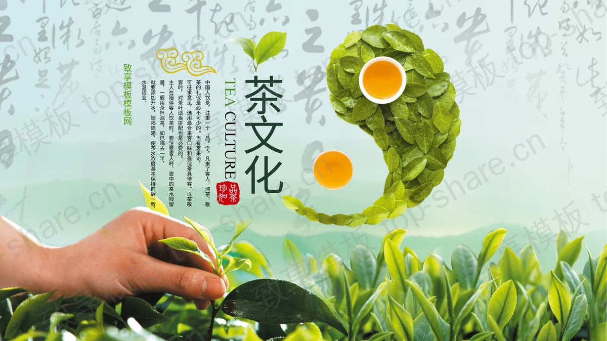 绿色茶树搭配茶叶太极背景茶文化主题PPT模板-致享TOP-SHARE