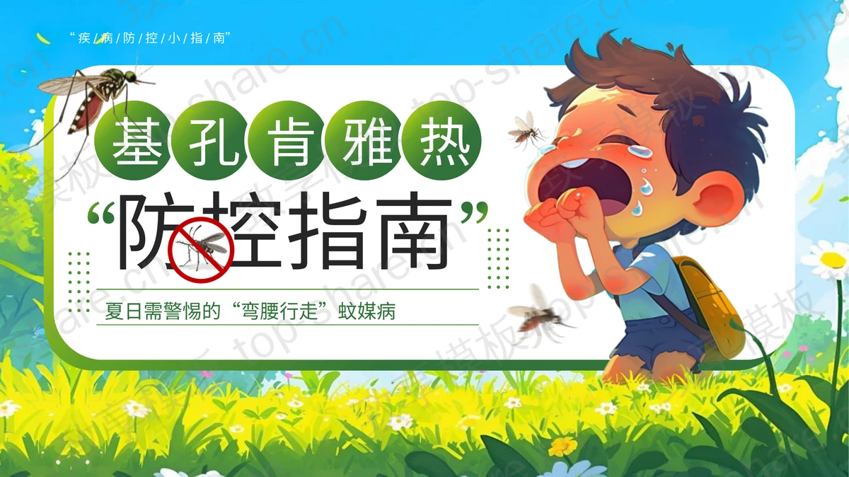 绿色清新插画风基孔肯雅热防控指南医学培训PPT模板-致享TOP-SHARE