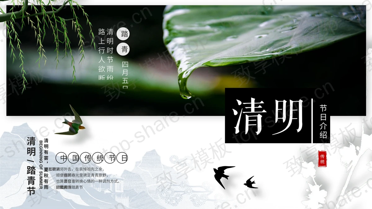 清新绿叶背景的中国传统节日清明节节日介绍PPT模板-致享TOP-SHARE
