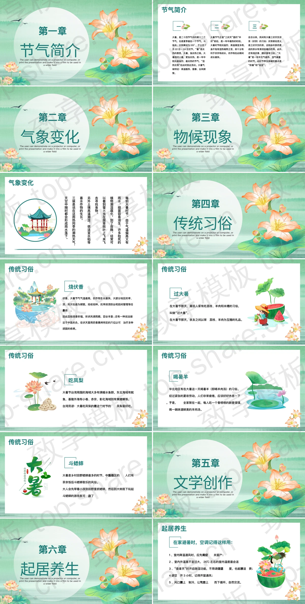 图片[2]-绿色国风荷花荷叶背景大暑节气介绍PPT模板 - 致享TOP-SHARE-致享TOP-SHARE
