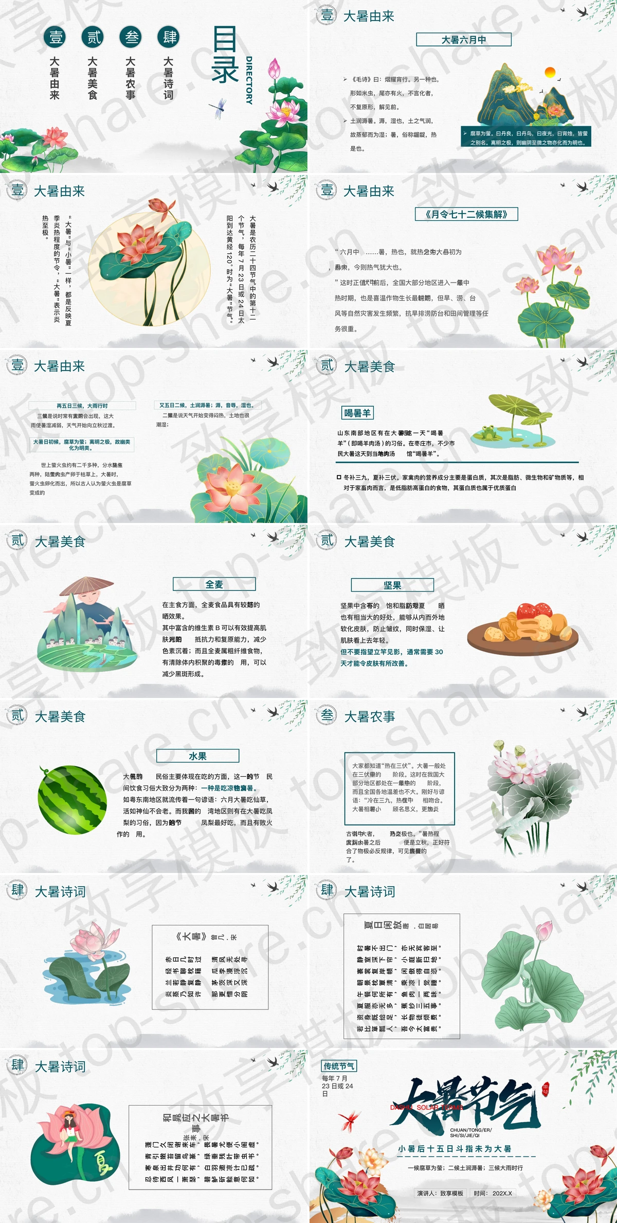 图片[2]-荷花荷叶背景大暑节气介绍PPT模板 - 致享TOP-SHARE-致享TOP-SHARE