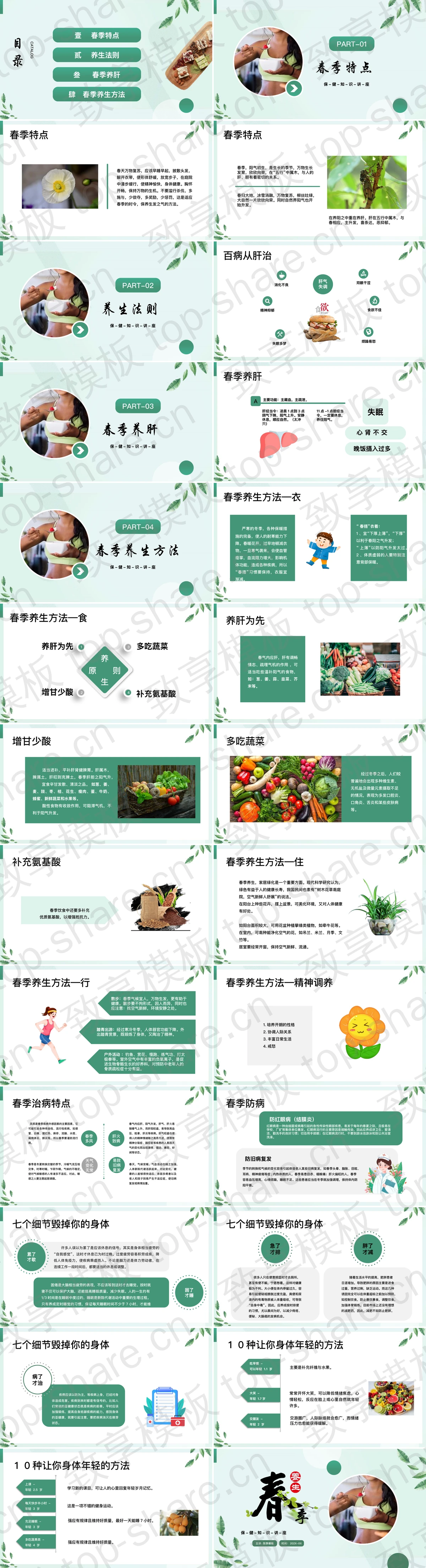 图片[2]-绿色春季养生保健知识讲座PPT模板 - 致享TOP-SHARE-致享TOP-SHARE