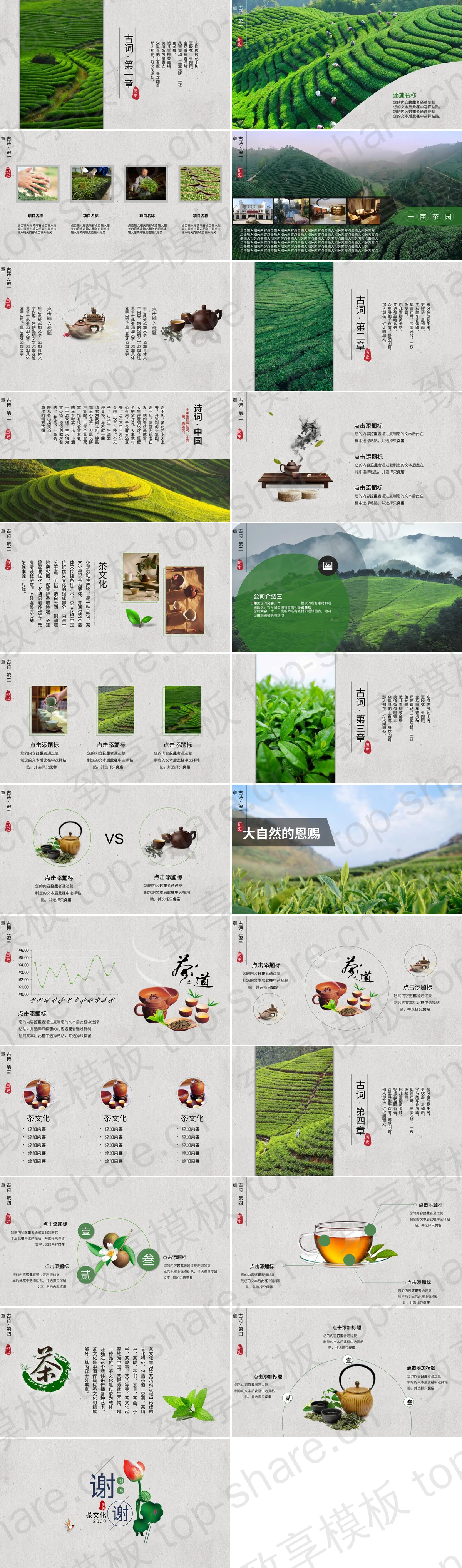 图片[2]-荷花荷叶莲蓬背景的国风茶文化主题PPT模板下载 - 致享TOP-SHARE-致享TOP-SHARE