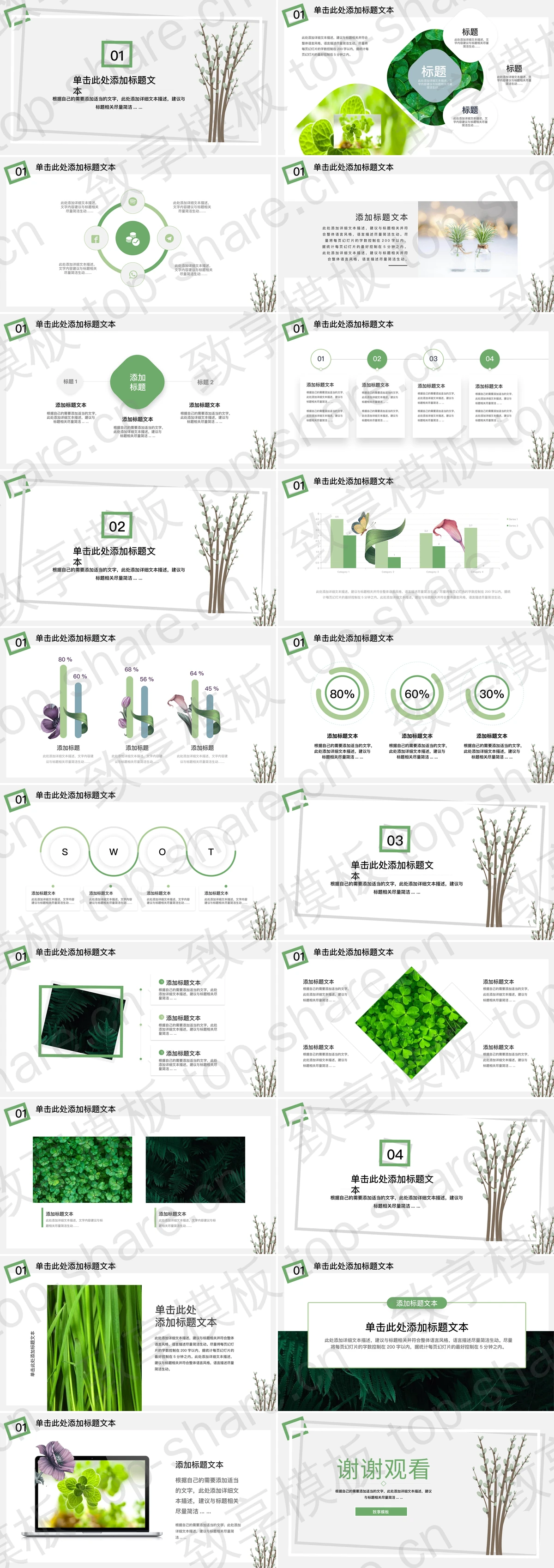图片[2]-简约小清新植物枝条背景PPT模板 - 致享TOP-SHARE-致享TOP-SHARE