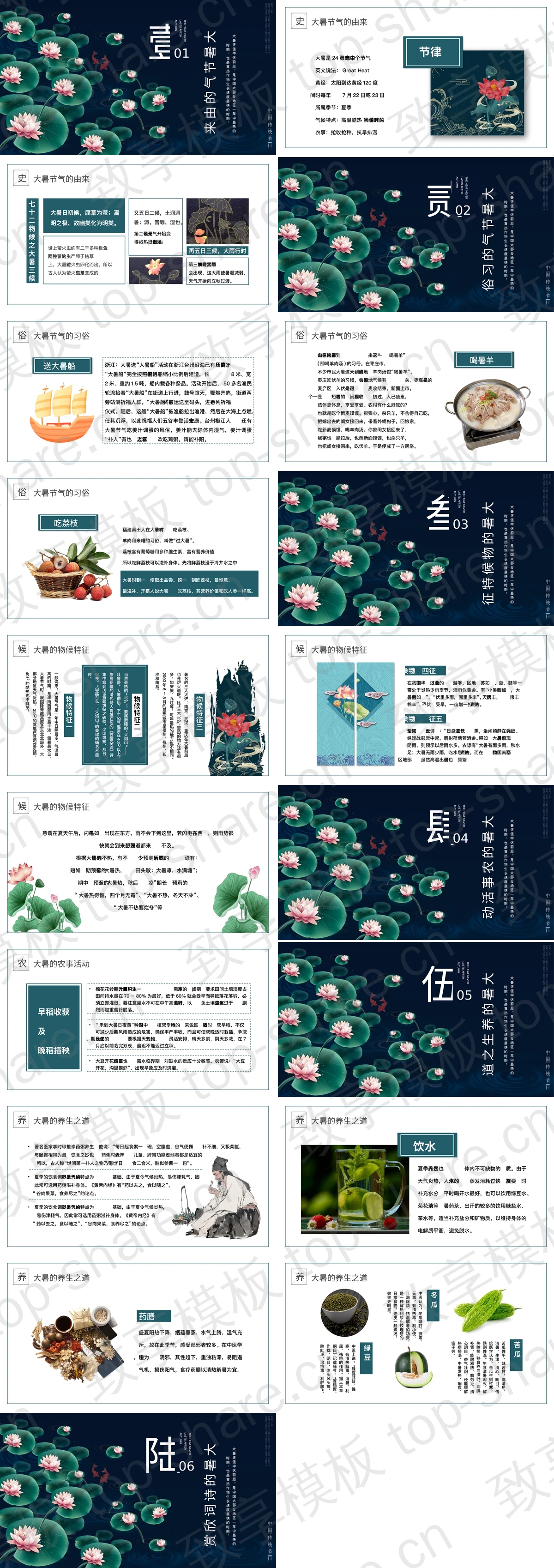 图片[2]-荷花荷叶背景二十四节气之大暑节气介绍PPT模板 - 致享TOP-SHARE-致享TOP-SHARE