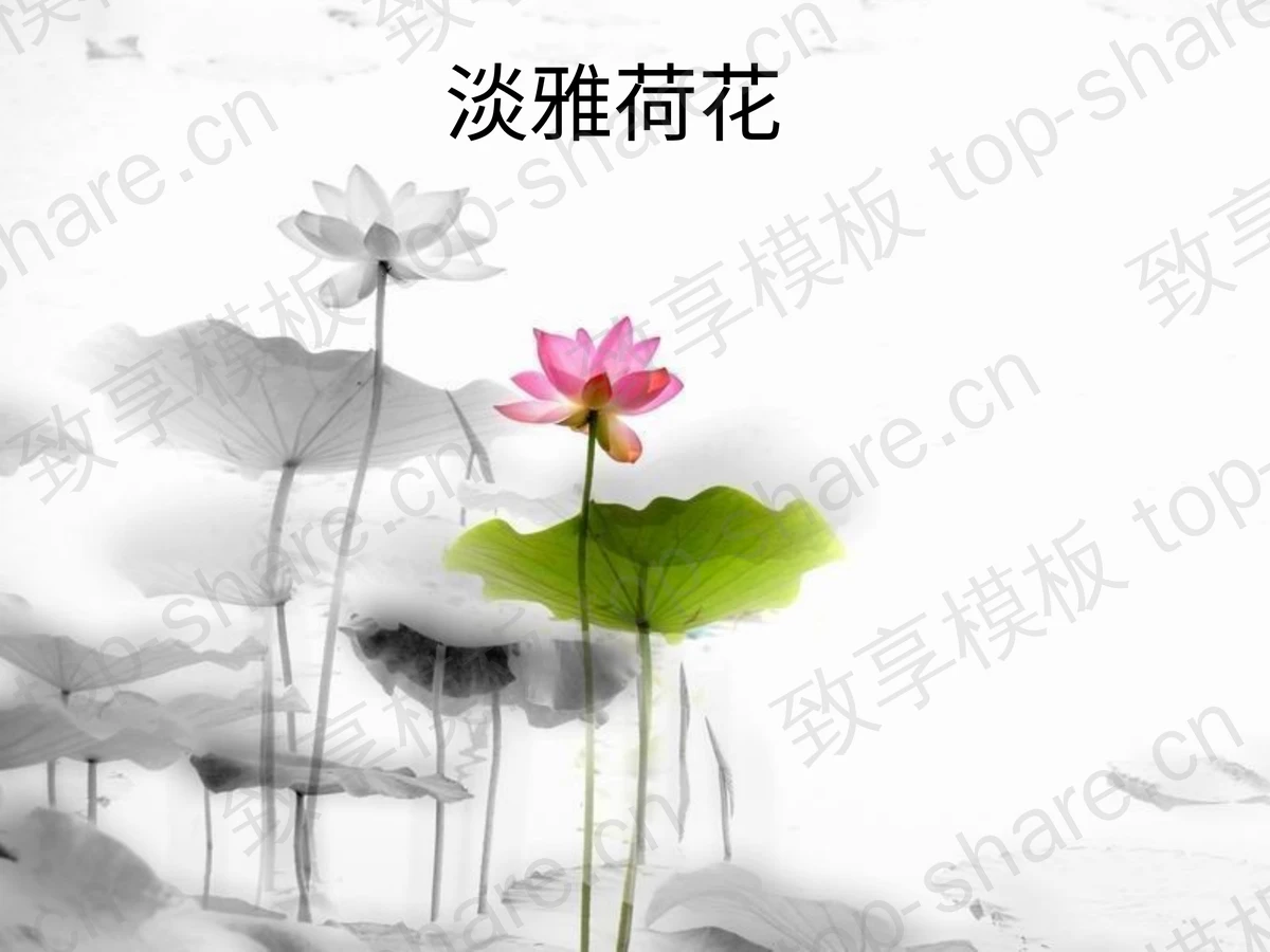 淡雅荷花中国风PPT模板下载-致享TOP-SHARE