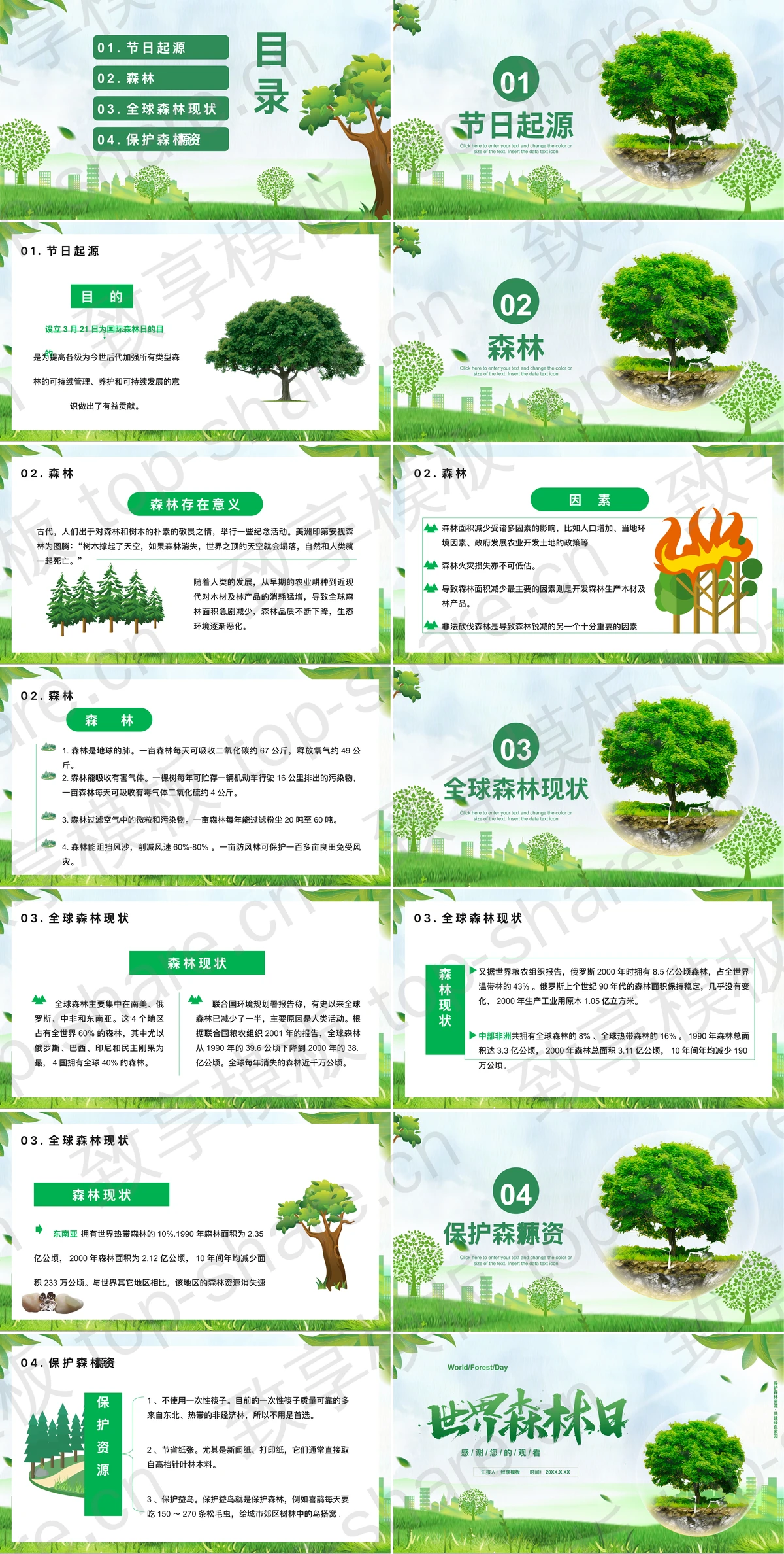 图片[2]-绿色大树背景的世界森林日宣传介绍PPT模板下载 - 致享TOP-SHARE-致享TOP-SHARE