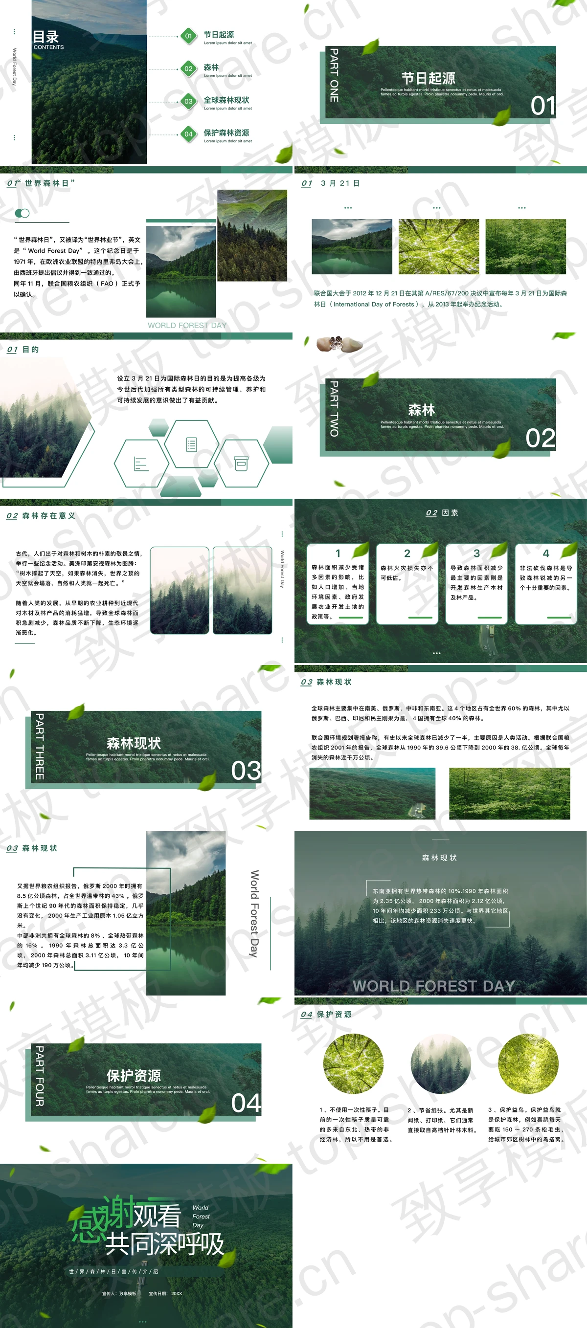 图片[2]-绿色森林背景的“保护森林共同深呼吸”世界森林日宣传介绍PPT模板下载 - 致享TOP-SHARE-致享TOP-SHARE