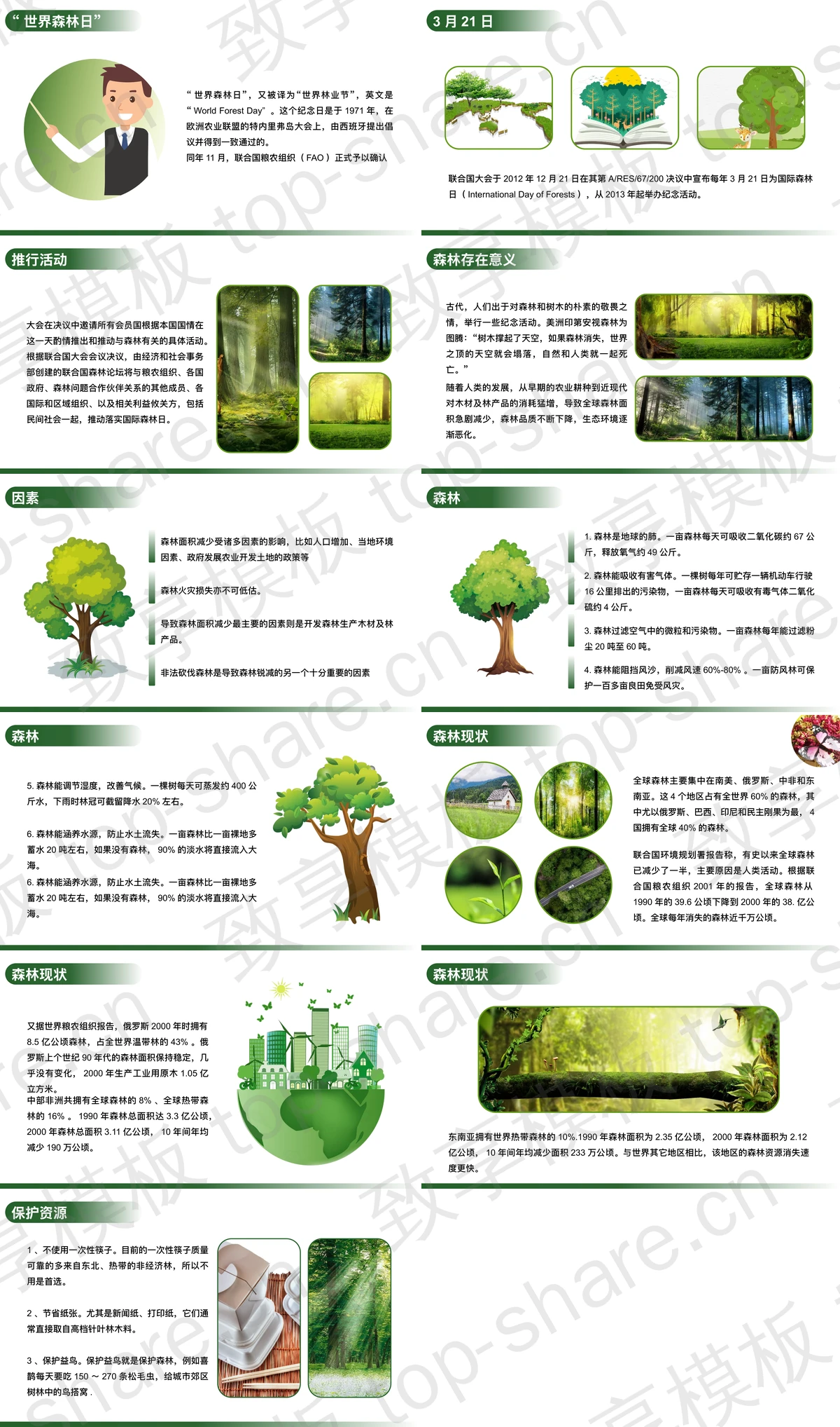 图片[2]-绿色清新森林背景的世界森林日环保主题PPT模板下载 - 致享TOP-SHARE-致享TOP-SHARE