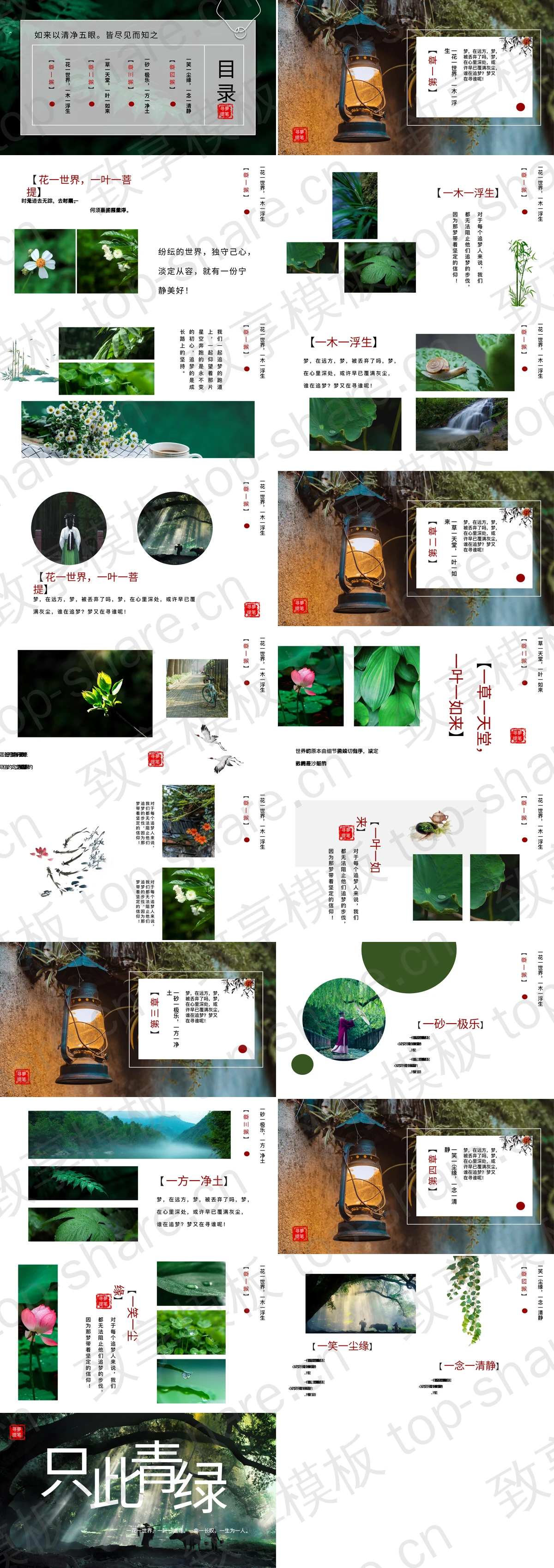 图片[2]-绿色森林背景“只此青绿”中国风PPT模板 - 致享TOP-SHARE-致享TOP-SHARE