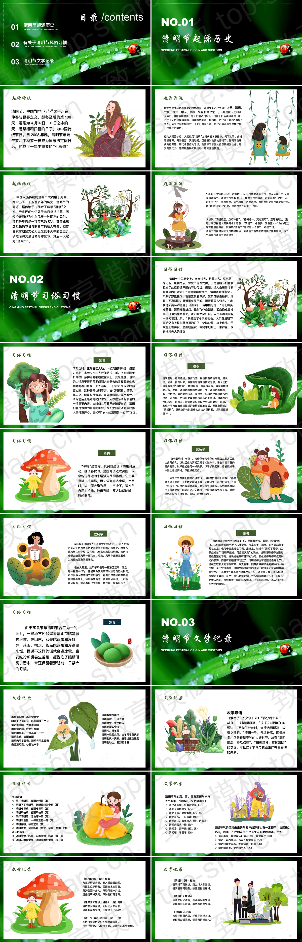图片[2]-清新绿叶七星瓢虫背景的“清明雨上”清明节节气介绍PPT模板 - 致享TOP-SHARE-致享TOP-SHARE