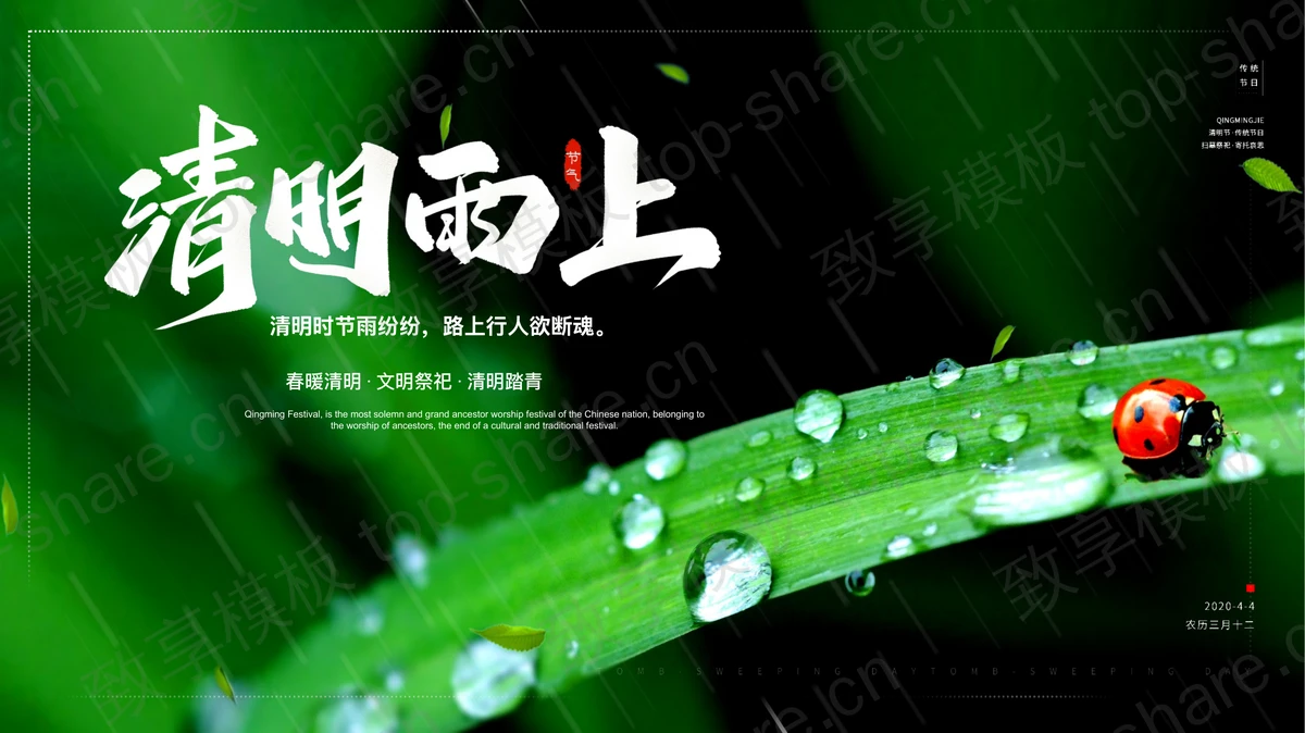 清新绿叶七星瓢虫背景的“清明雨上”清明节节气介绍PPT模板-致享TOP-SHARE