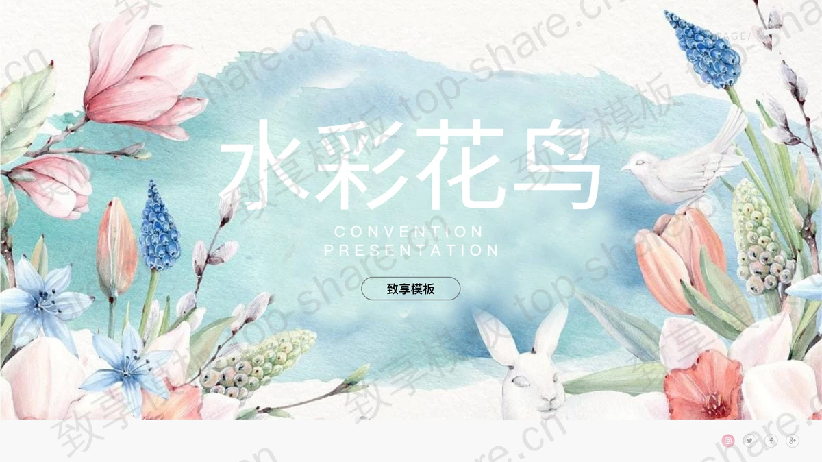 清新彩色水彩花鸟PPT模板免费下载-致享TOP-SHARE