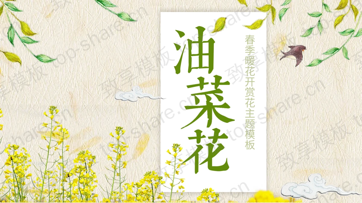 水彩油菜花PPT模板-致享TOP-SHARE