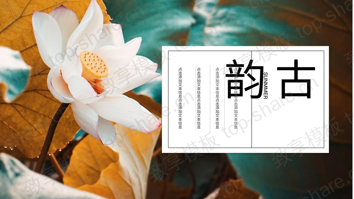 精美古韵荷花背景电子相册PPT模板-致享TOP-SHARE