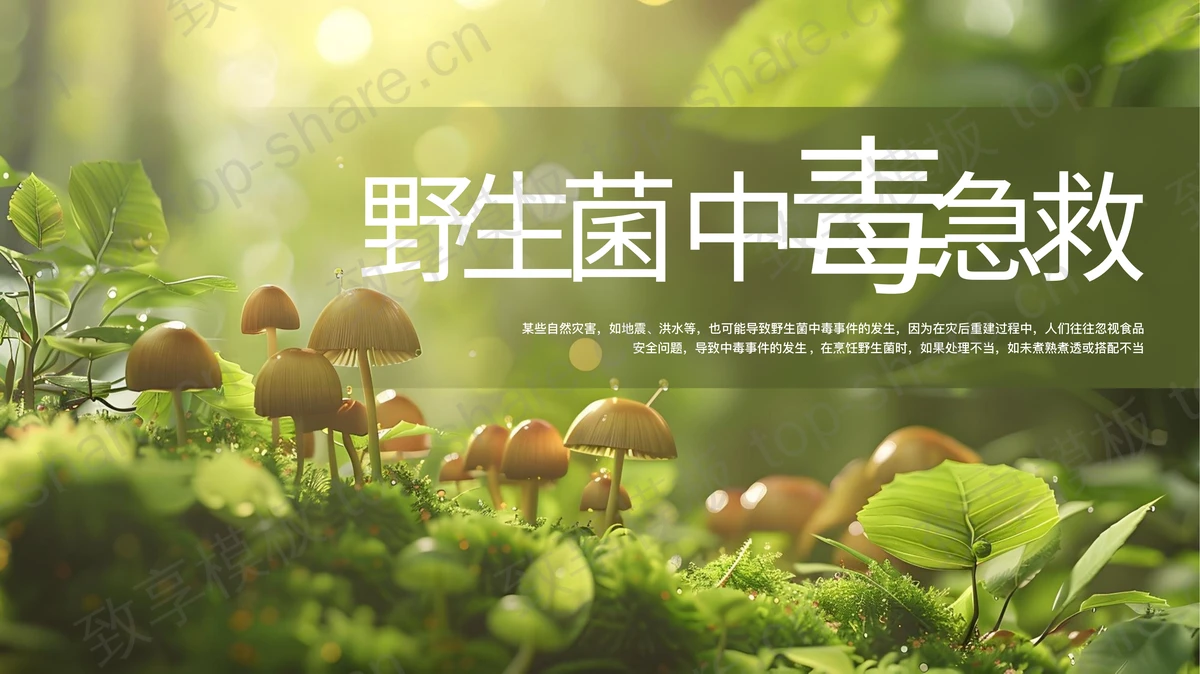 绿色清新野生菌中毒急救知识培训PPT模板-致享TOP-SHARE