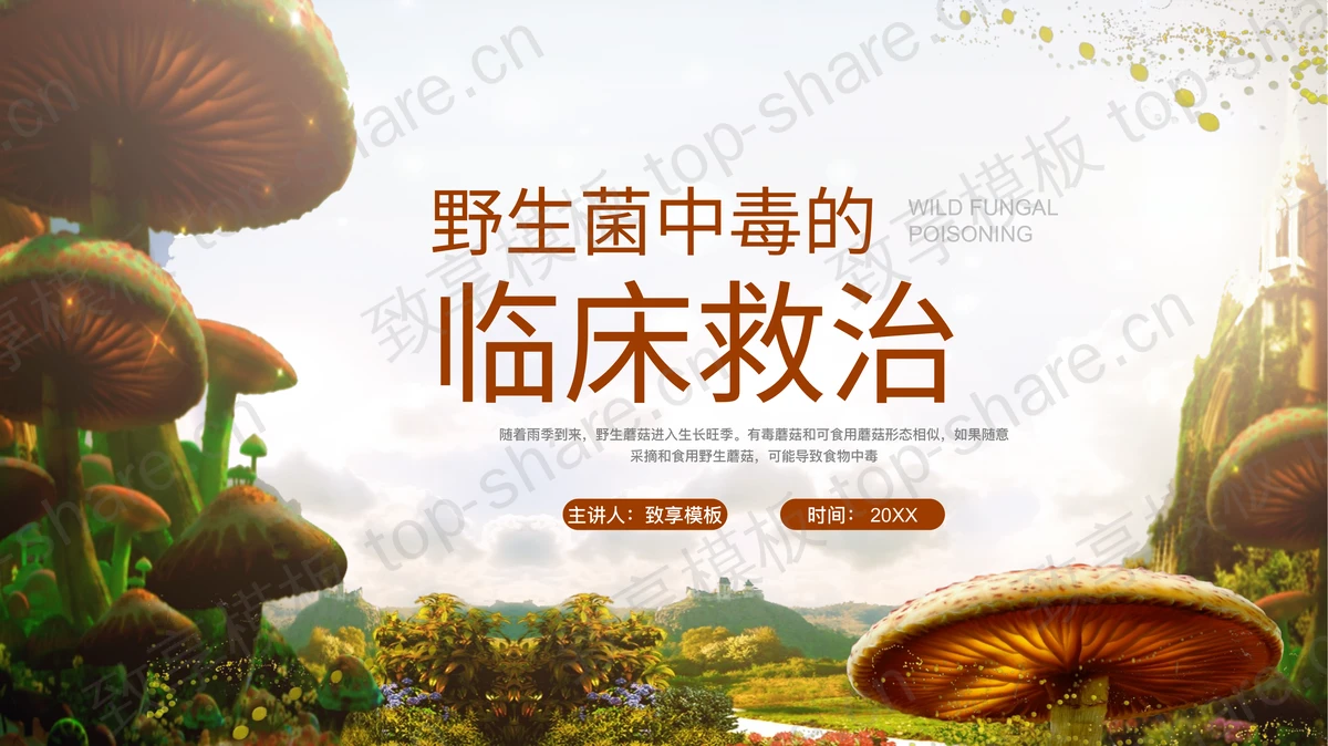 蘑菇花草背景的野生菌中毒的临床救治PPT模板-致享TOP-SHARE