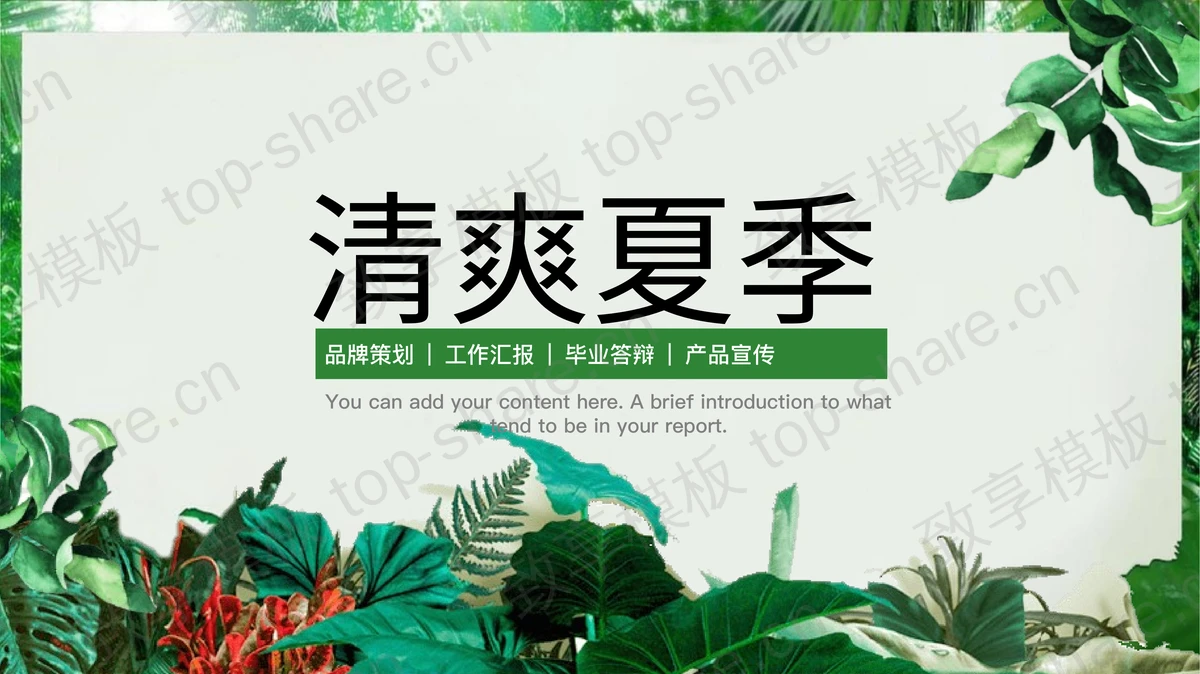 森林绿叶植物背景清爽夏季主题PPT模板-致享TOP-SHARE