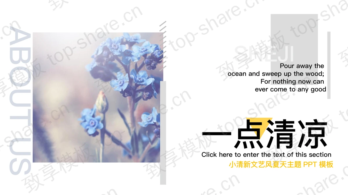 植物花卉背景的画册风夏日主题PPT模板-致享TOP-SHARE