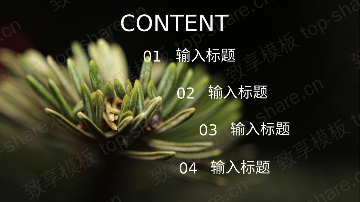 清新绿色森林系杂志风绿叶女孩PPT模板免费下载-致享TOP-SHARE