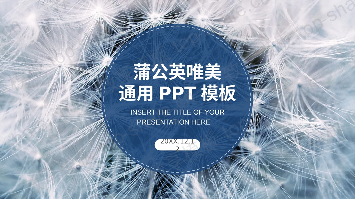 唯美蒲公英PPT模板-致享TOP-SHARE