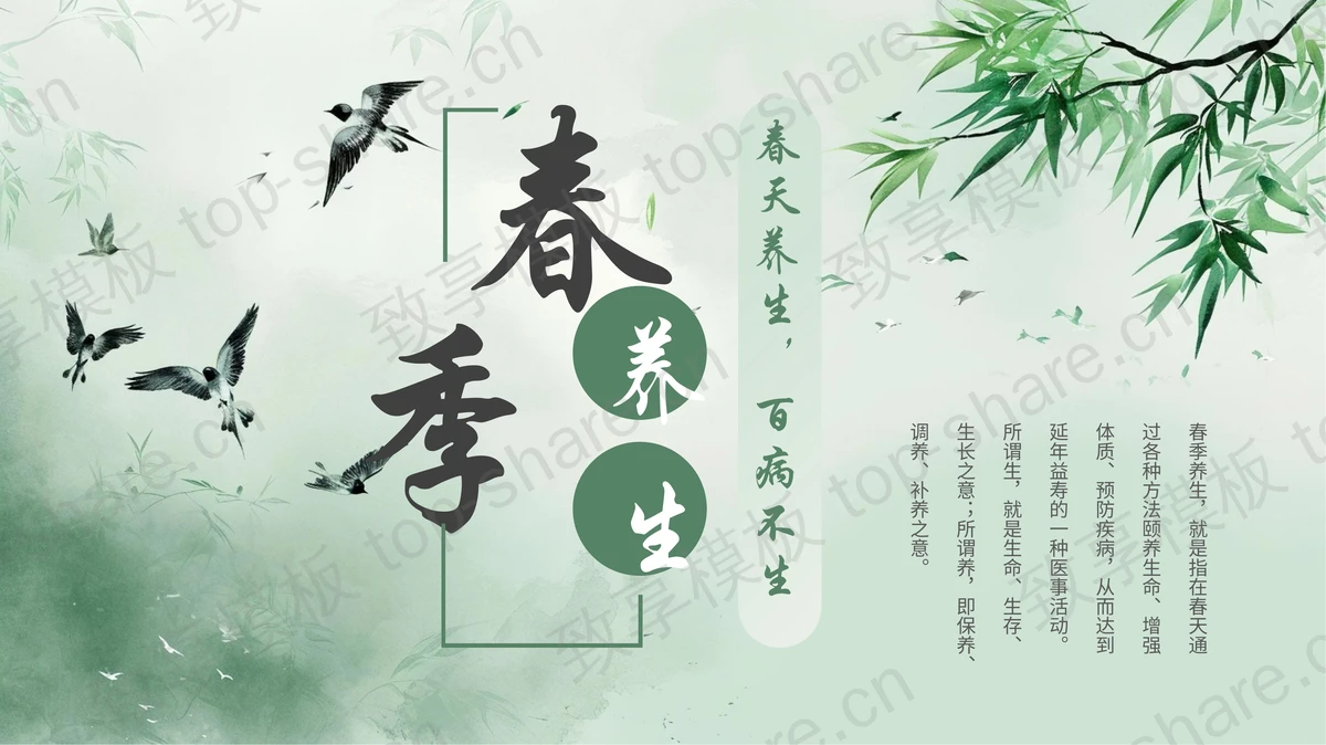 绿色清新水墨中国风春季养生知识讲座PPT模板-致享TOP-SHARE